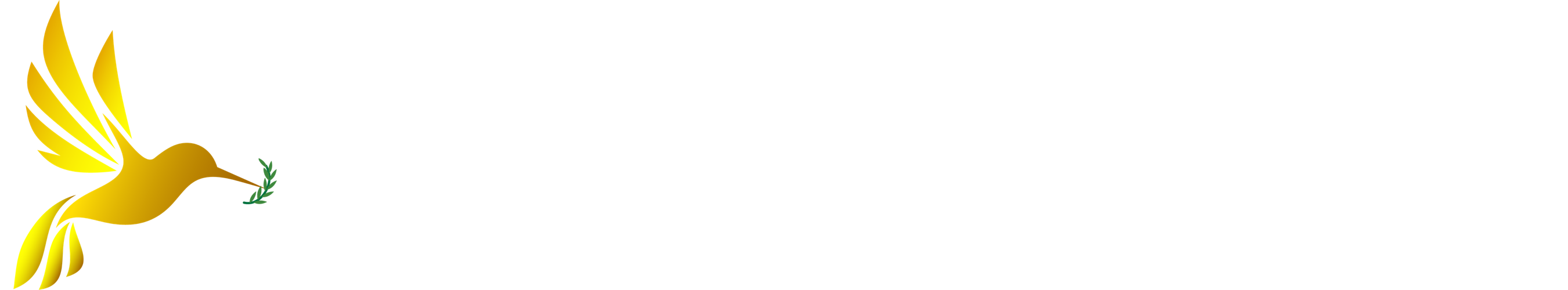Identity in Destiny