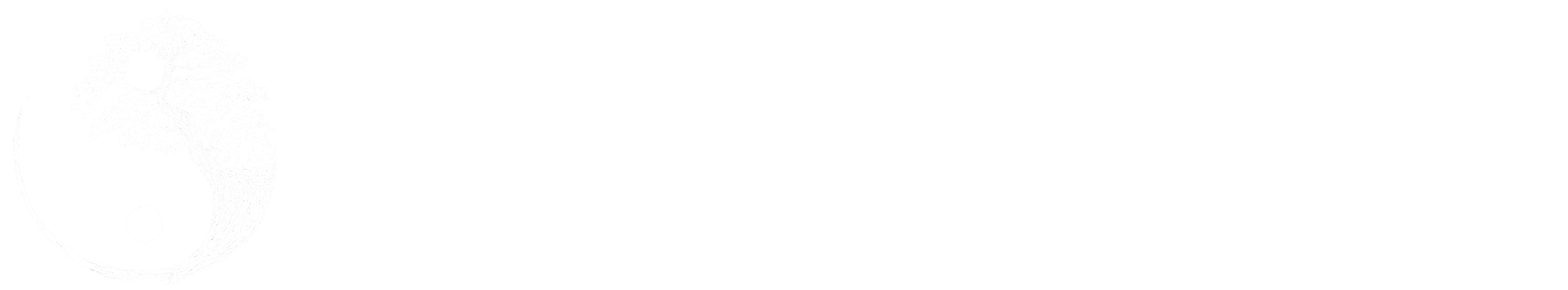 Identity in Destiny